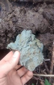 Gley-soils-are-wetland-indicators