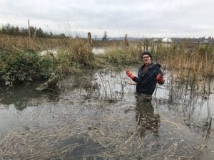 Colby Cain our horticulturalist pulling Purple Loosestrife.