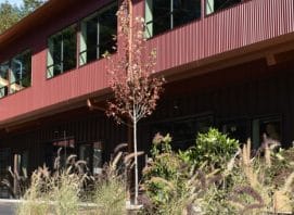 landscape-irrigate-plant-design