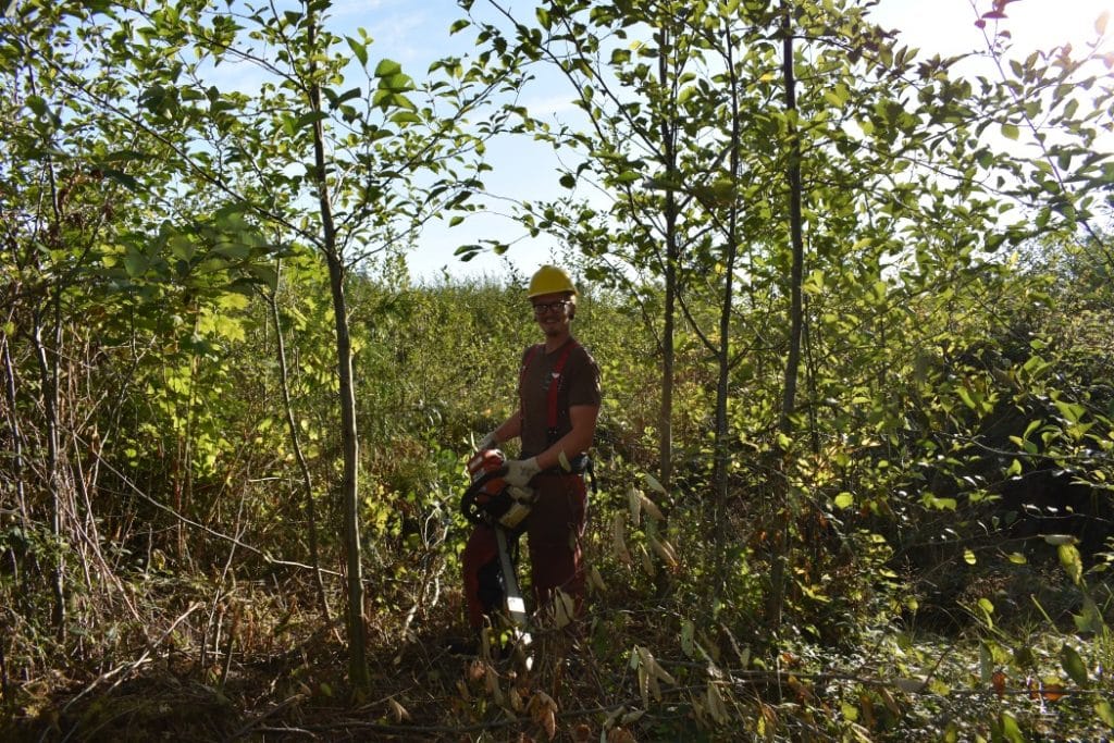 restoration_forest_conservation_public_trails