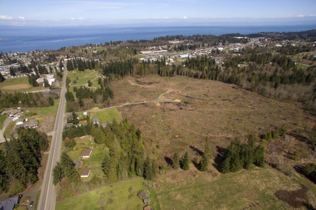 restoration-forestry-woodlands-Port-Angeles-WA