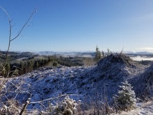 Forest evaluation in Jefferson County