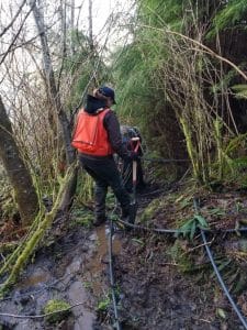 Surveying forestland and stream