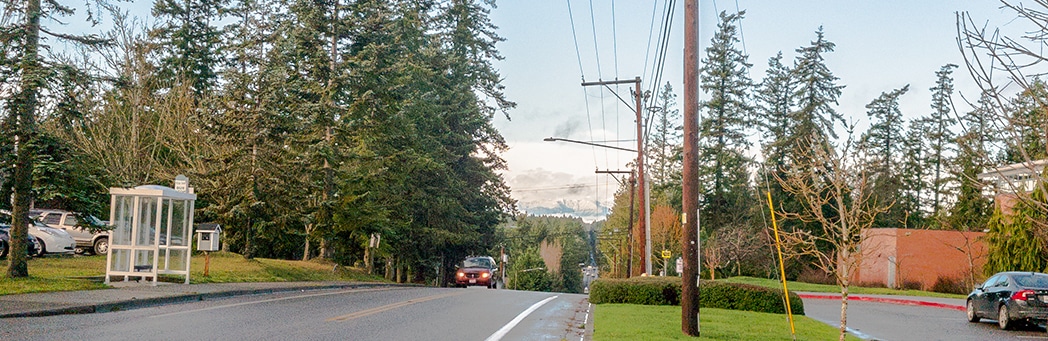 Tree Policy Recommendations for City of Bainbridge Island