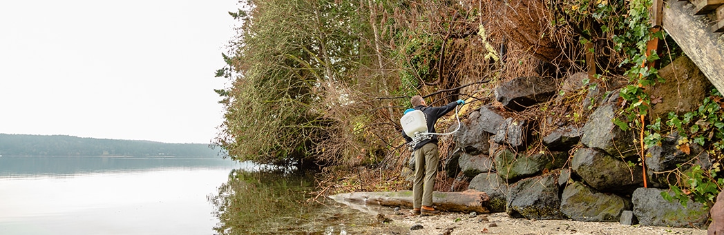 Sequim Bay Area, Shoreline Restoration