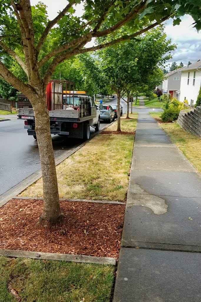 Tumwater, Citywide Forest Assessment Peninsula Environmental Group, Inc.