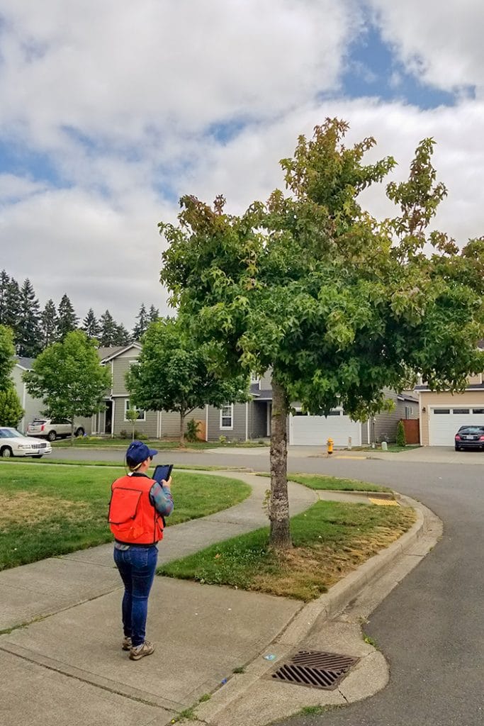 Tumwater, Citywide Forest Assessment Peninsula Environmental Group, Inc.