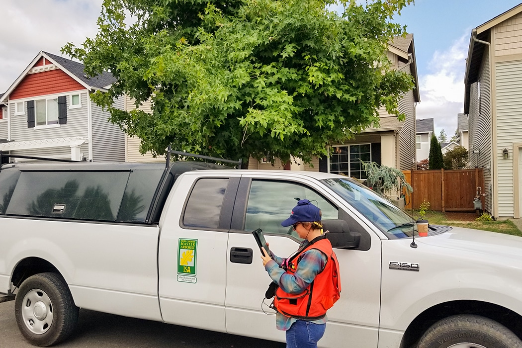 Tumwater, City-wide Forest Assessment - Peninsula Environmental Group, Inc.