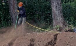 Tree root pruning and soil rejuvenation services