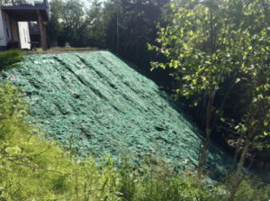 hydroseed erosion control