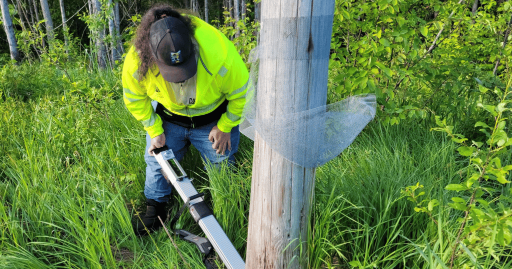 Utility Pole Inspection and Mapping