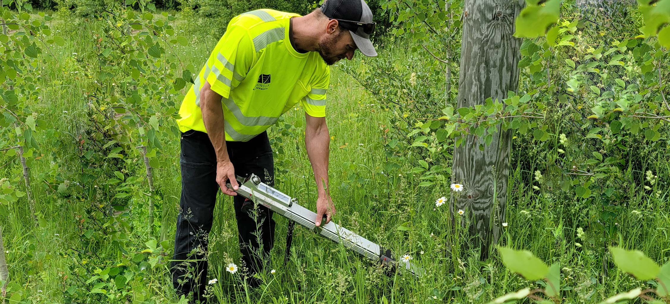 City of Newberry Utility Pole Test and Inventory