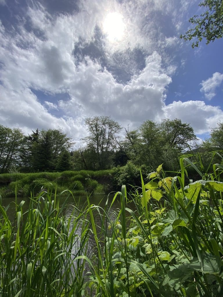 hoko ozette wetland nosc